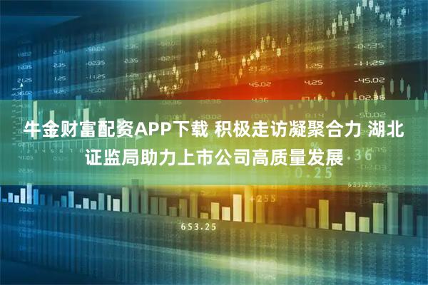 牛金财富配资APP下载 积极走访凝聚合力 湖北证监局助力上市公司高质量发展